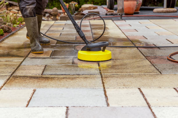 Best Fence Cleaning  in East Palatka, FL
